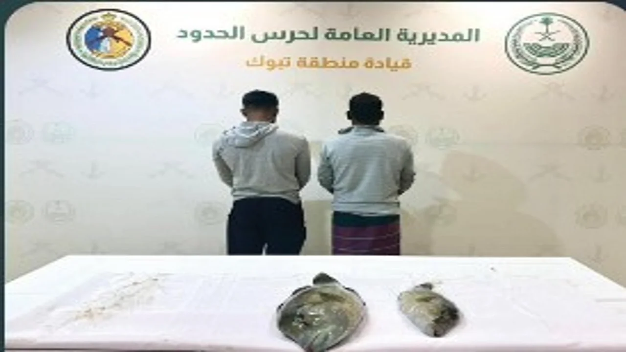 حرس الحدود بتبوك يضبط بنغاليين لخرقهما قواعد السلامة البحرية في عرض البحر